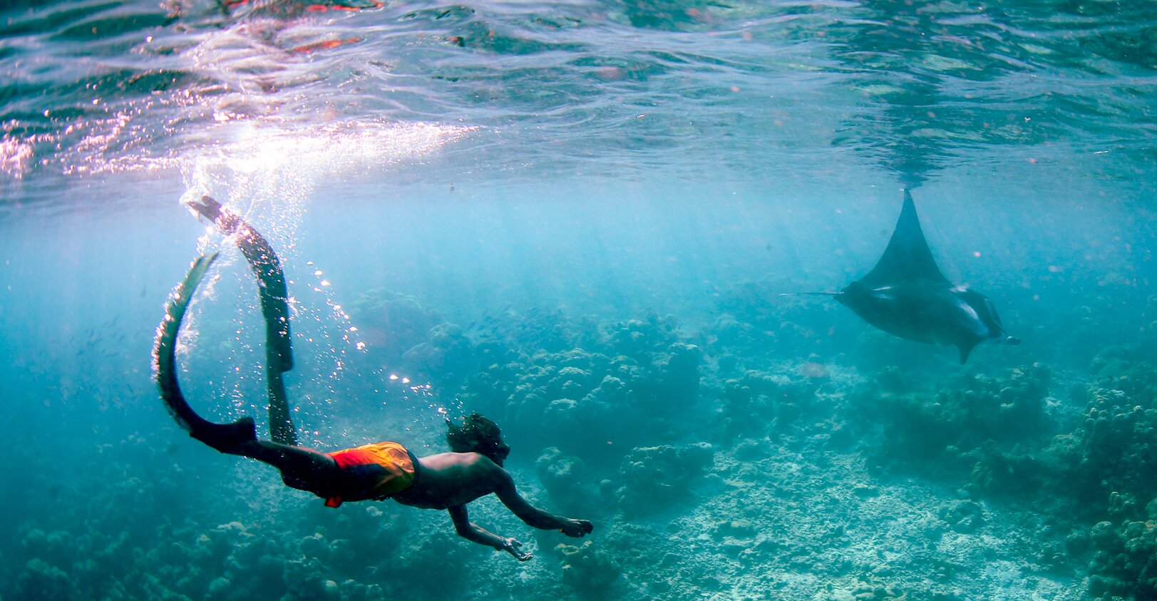 SNORKELING AND DIVING