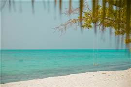 Beach & Nature