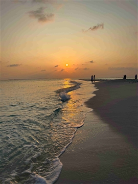 Beach & Nature