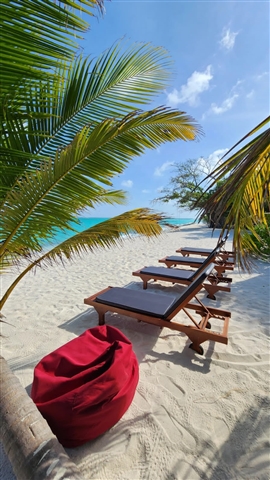 Beach & Nature