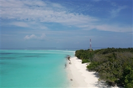 Beach & Nature