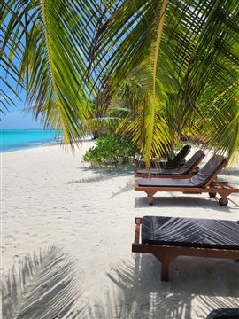 Beach & Nature